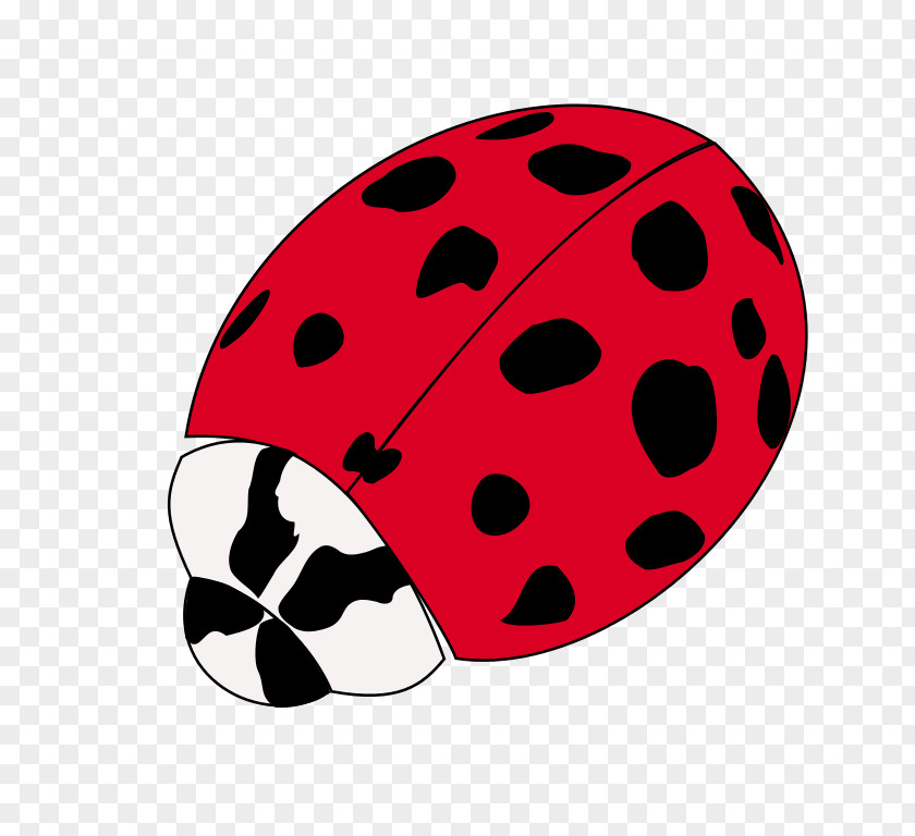 Insect Ladybird Beetle Disney Fairies: Tinker Bell Blingee Nintendo DS PNG