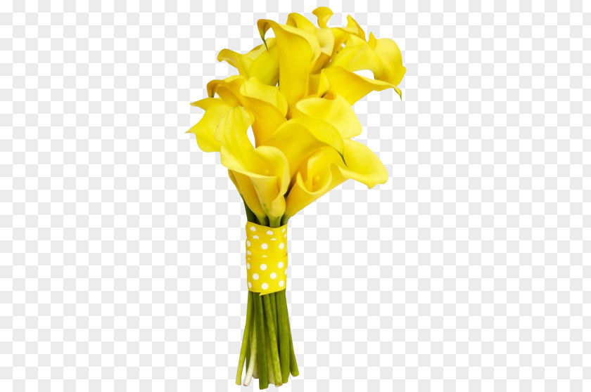 Flower Yellow Easter Lily Cut Flowers Bouquet PNG