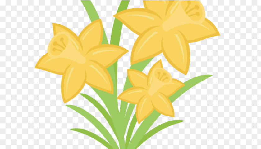 Narcissus Plant Flower Silhouette PNG