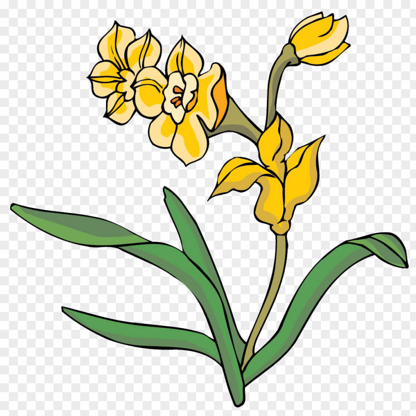 Yellow Chrysanthemum Floral Design Clip Art PNG