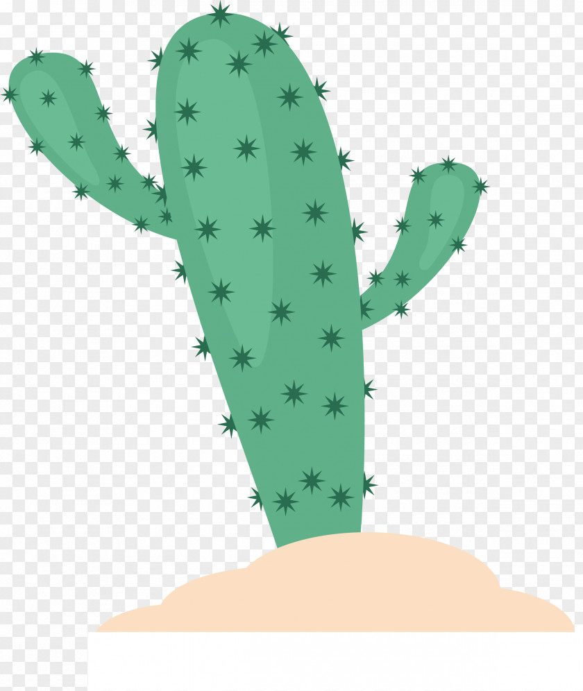 Cactus In The Desert Cactaceae Erg PNG