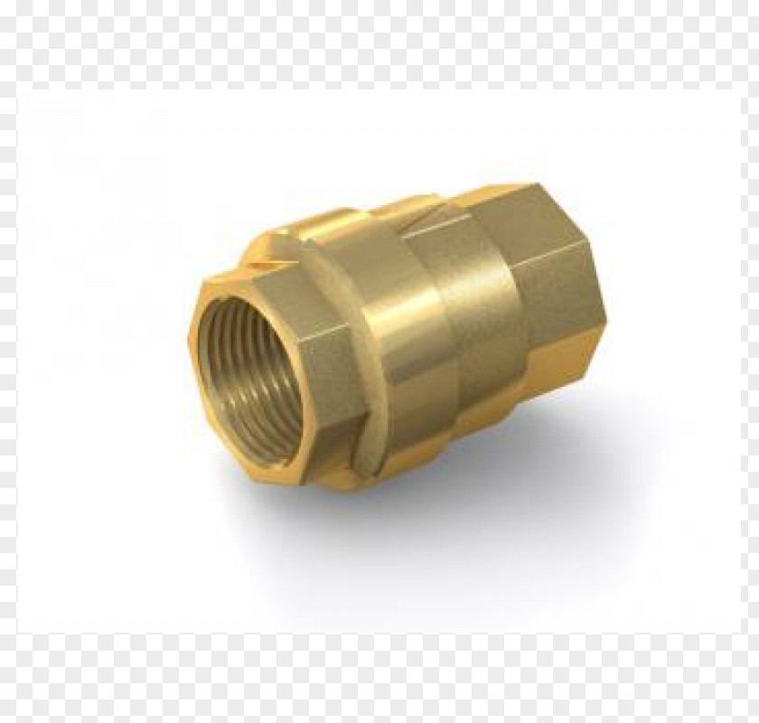 Check Valve Brass Nominal Pipe Size Volumetric Flow Rate PNG