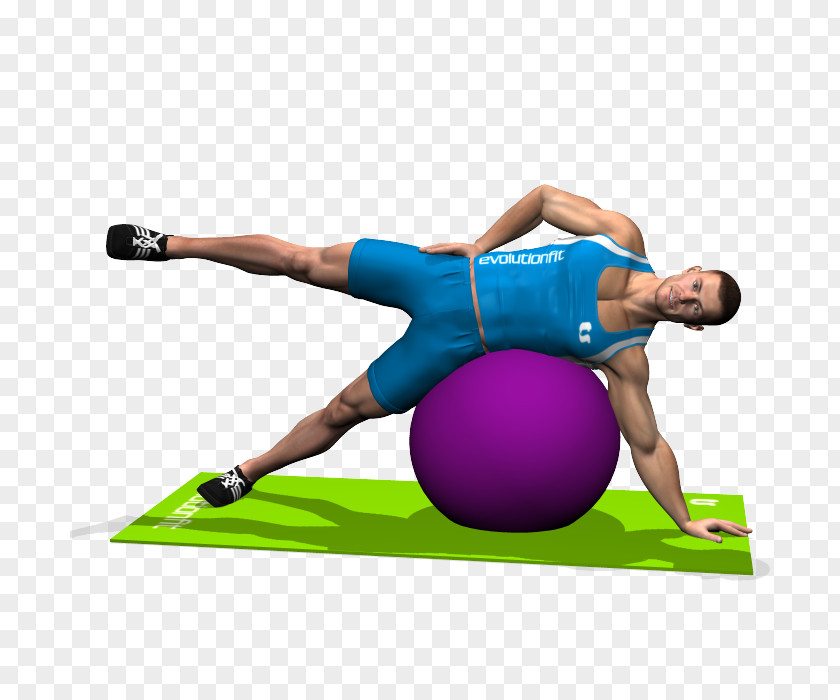 Exercise Balls Pilates Leg Raise Muscle PNG raise Muscle, barbell clipart PNG