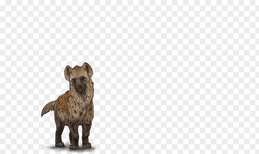 Hyena Cairn Terrier Spotted Lion Puppy PNG