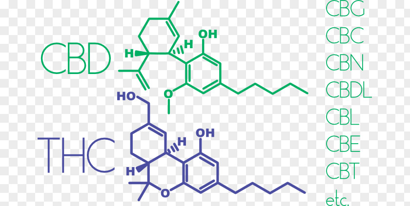 Medicinal Material Cannabinoid Cannabis Tetrahydrocannabinol Cannabidiol Leer PNG