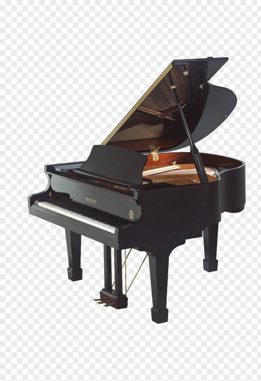 Piano In Kind Blxfcthner Guangzhou Pearl River Kawai Musical Instruments PNG