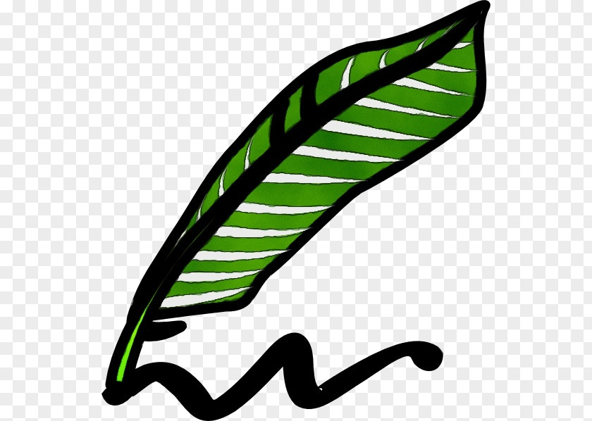 Plant Leaf Green Watercolor PNG