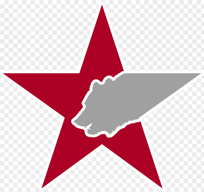 Red Star Phoenix Russia Logo My Impact Fitness Organization PNG