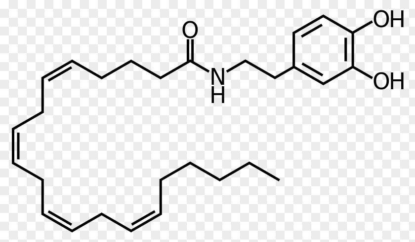 Science Ion Channel Pyridine Pharmaceutical Drug Endocannabinoid System PNG