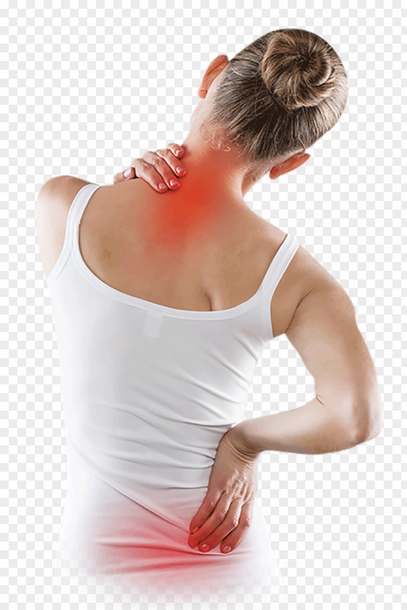 Shoulder Pain Low Back Neck Management Human PNG