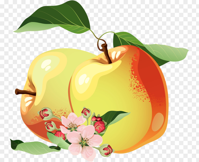 Apple Marmalade PNG