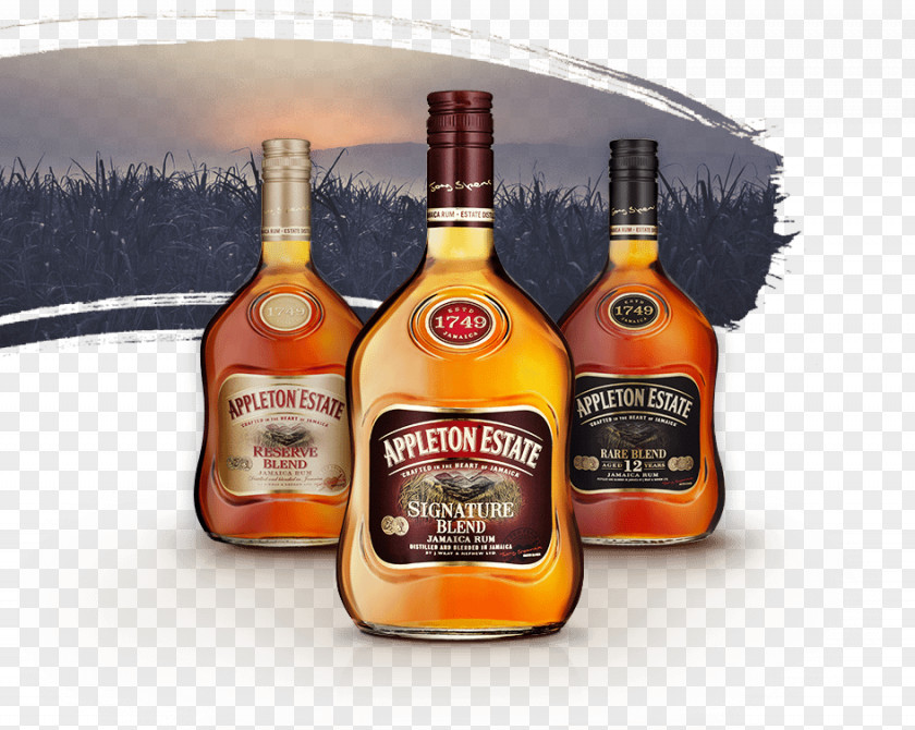 Larger Than Whiskey Barrel Liqueur Rum Jamaica Appleton Estate PNG