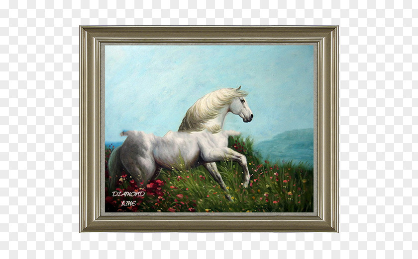 Mustang Stallion Painting Unicorn Picture Frames PNG