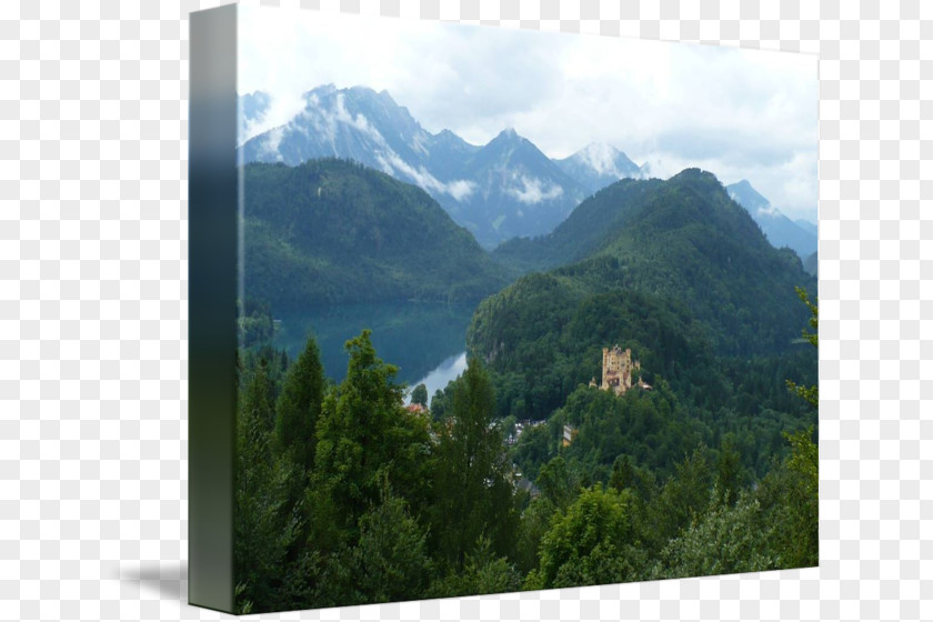 Park Mount Scenery Neuschwanstein Castle Nature Reserve Wilderness PNG