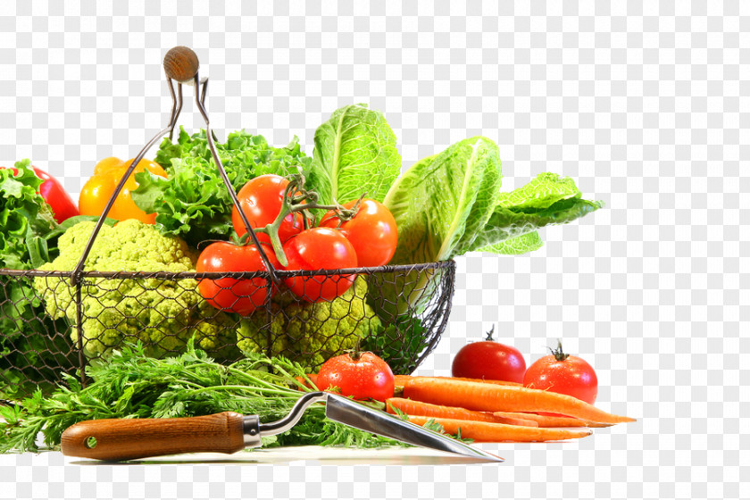 Vegetable Image Organic Food Fruit Clip Art PNG