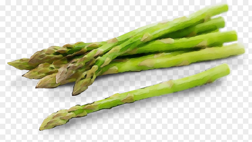 Ingredient Plant Asparagus Vegetable Food PNG