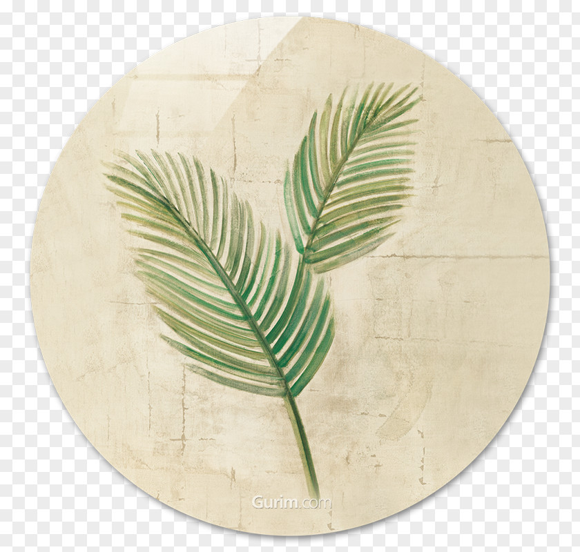 Monstera Sago Palm Paper Palm-leaf Manuscript Crop PNG