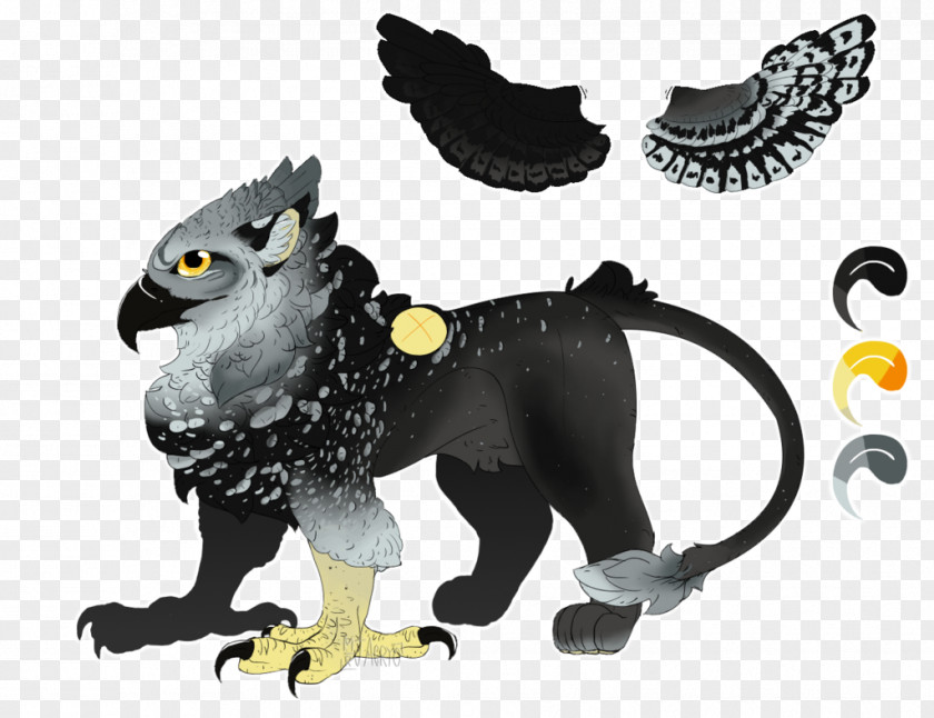 Owl Cat Beak Desktop Wallpaper PNG