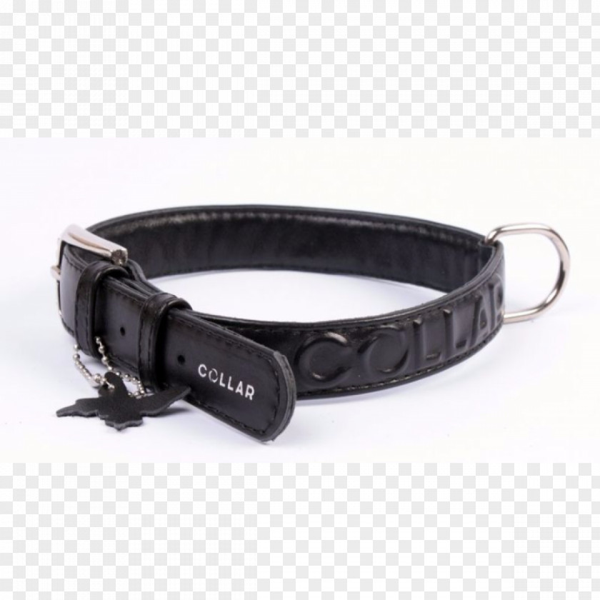 Red Collar Dog Belt PNG