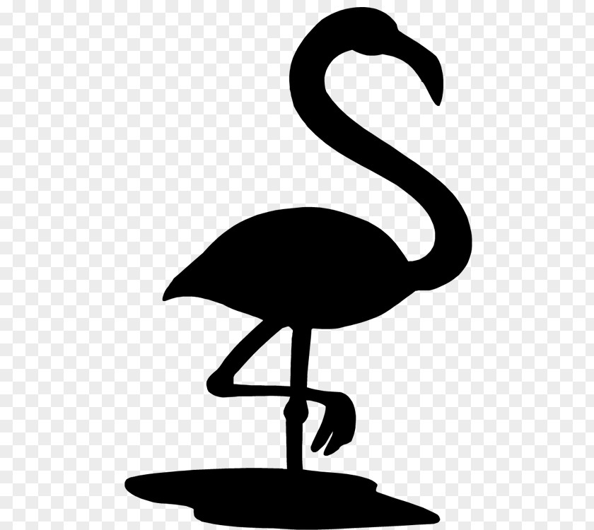 Swans Beak Goose Bird Ducks PNG