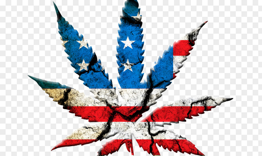 United States Medical Cannabis Shop Legalization PNG