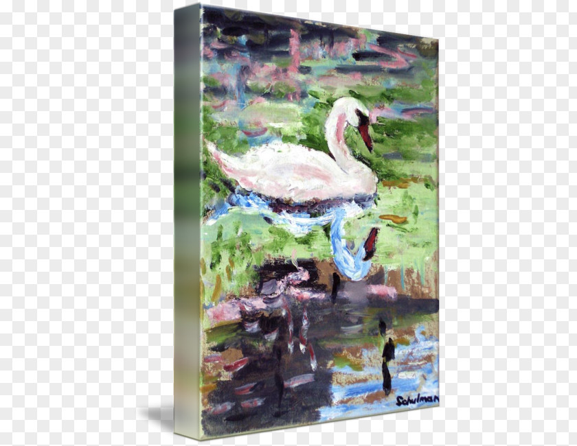 Watercolor Bird Cygnini Duck Painting Oil PNG