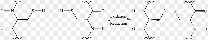 Biuret Protein Peptide Bond Chemical Reaction PNG