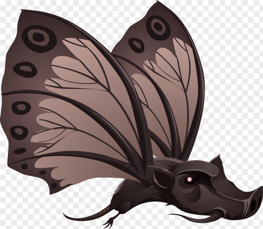 Butterfly Wild Boar Clip Art PNG