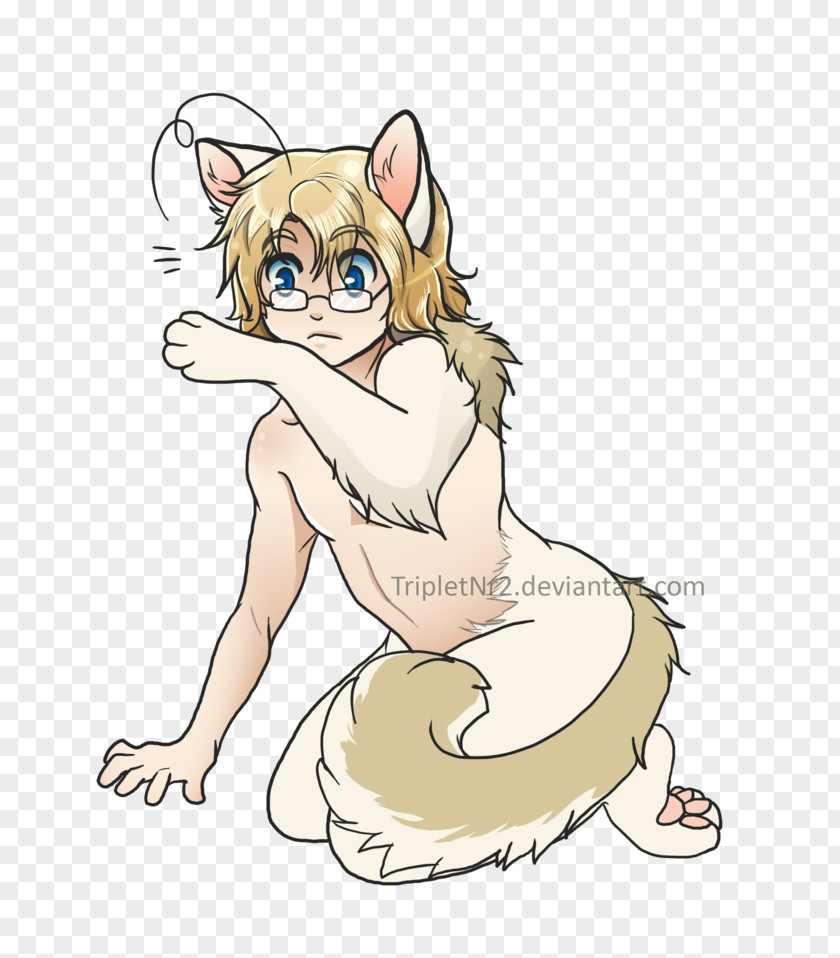 Cat Whiskers Human–animal Hybrid Drawing Red Fox PNG
