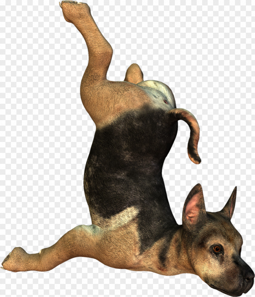 Handsome 3D Meng Dog Do Not Pull The Picture Puppy Computer Graphics PNG