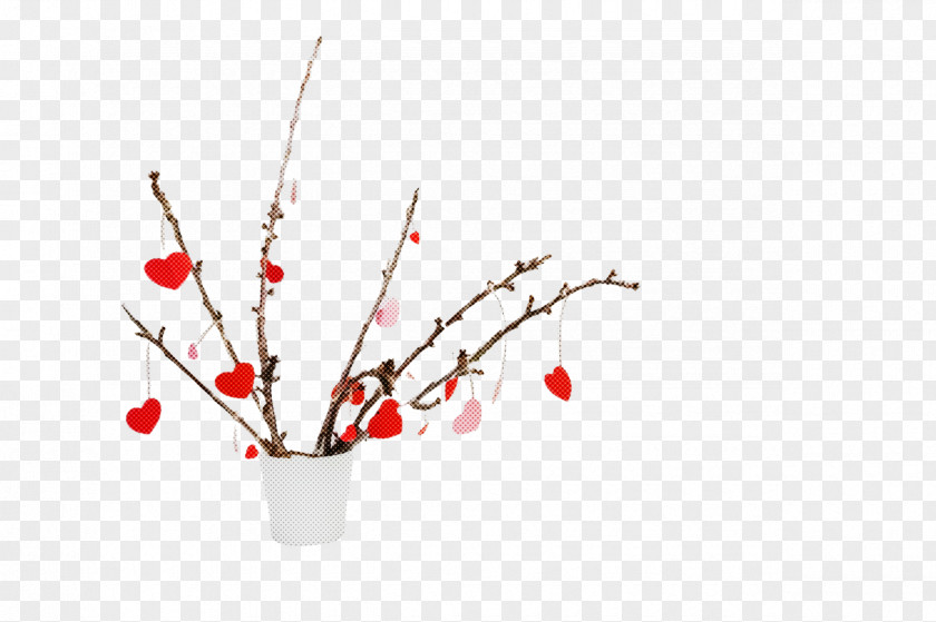 Holly Flower PNG