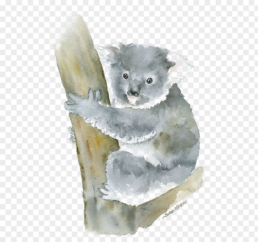 Koala Watercolor Painting Art PNG