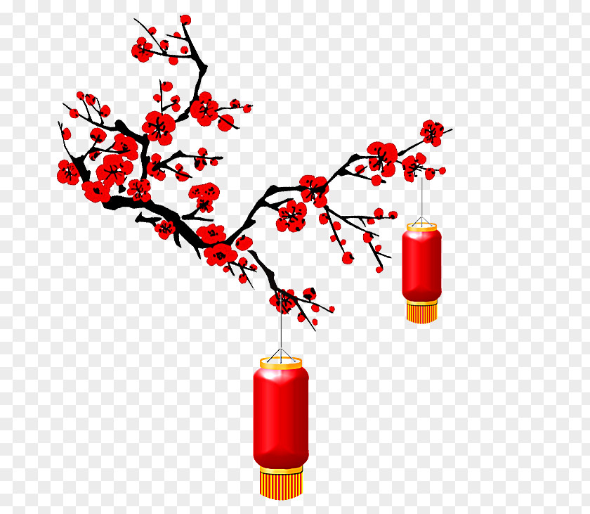 Plum Flower Lantern Blossom Chinese New Year PNG