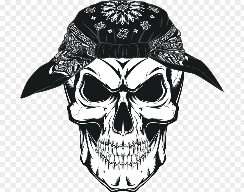 Symbol Blackandwhite Human Skull Drawing PNG