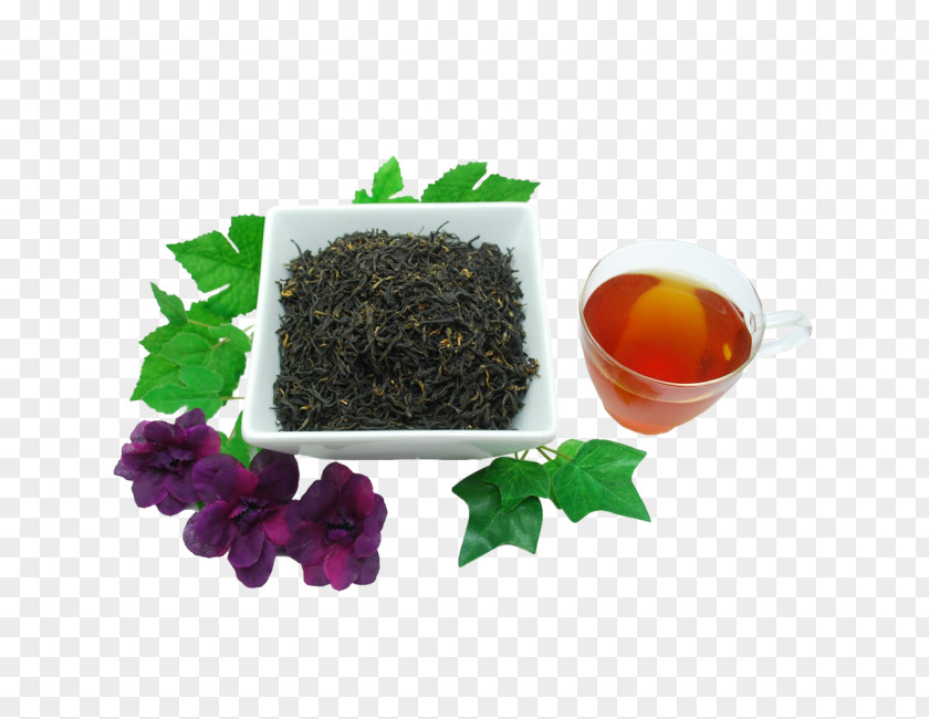 Tea Hōjicha Oolong Nilgiri Earl Grey PNG
