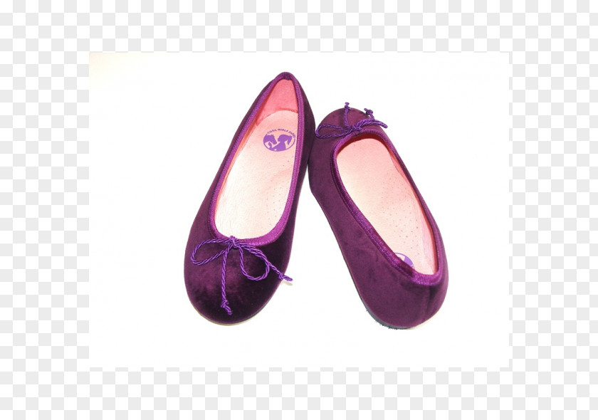 Ballet Flat Shoe Pointe Tutu PNG