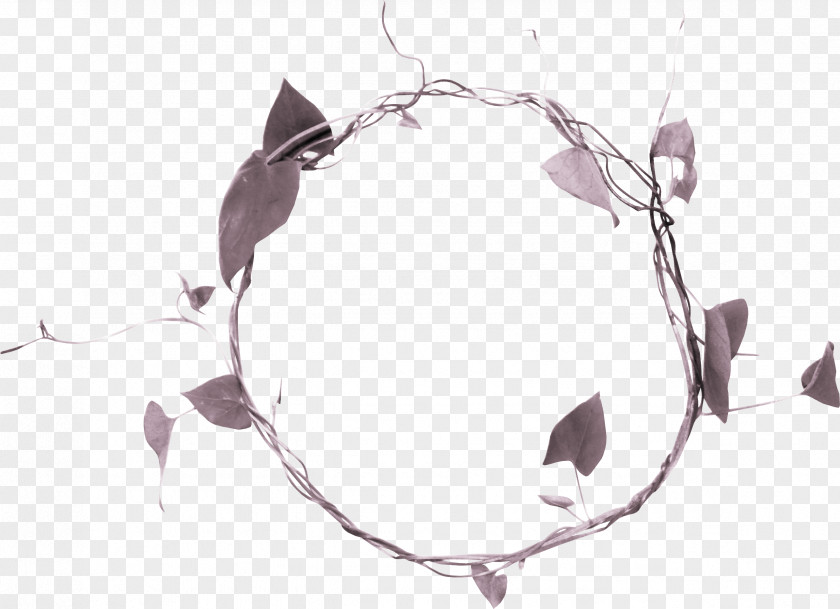 Beautiful Foliage Ring Leaf Download Circle PNG