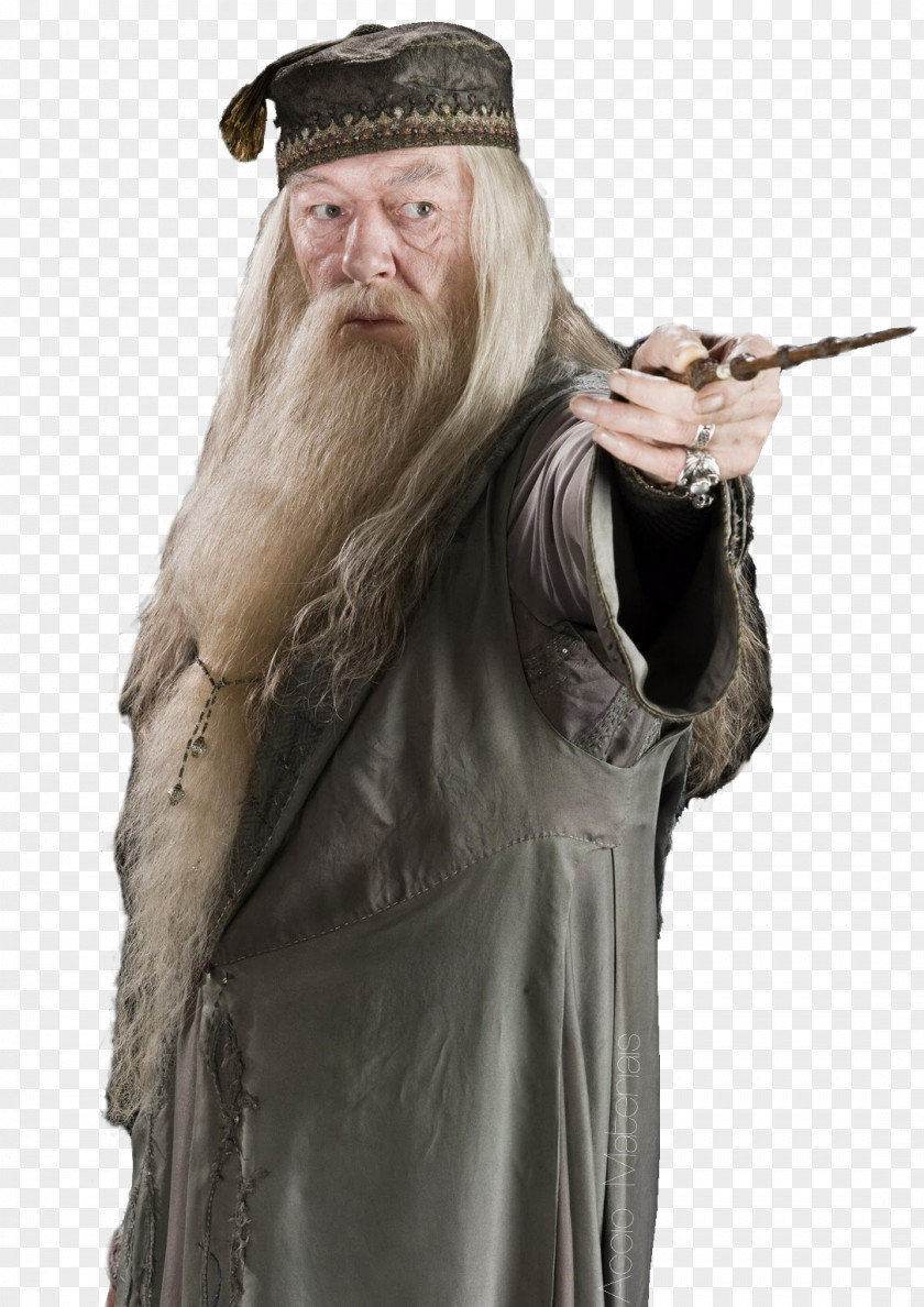 Harry Potter Albus Dumbledore Professor Severus Snape Fantastic Beasts: The Crimes Of Grindelwald PNG