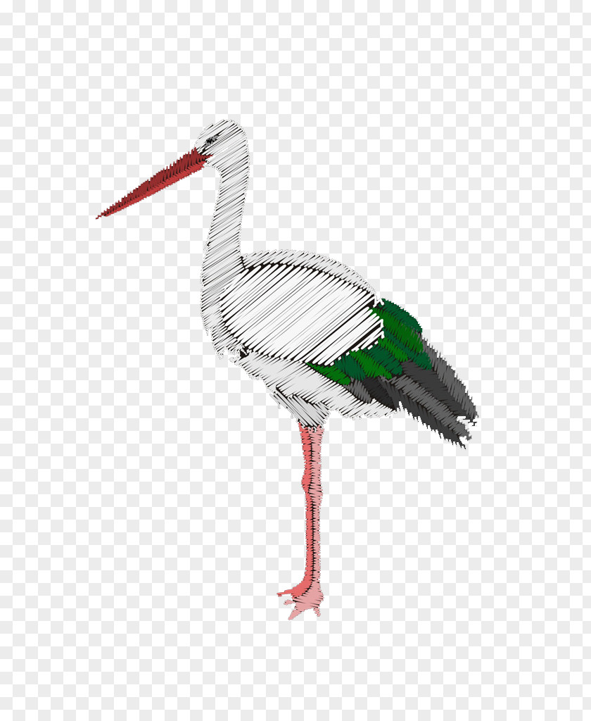 White Crane Bird Stork PNG