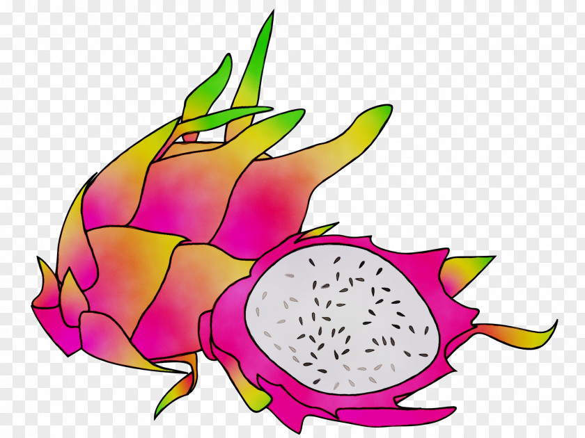 Clip Art Pitaya Fruit Juice PNG