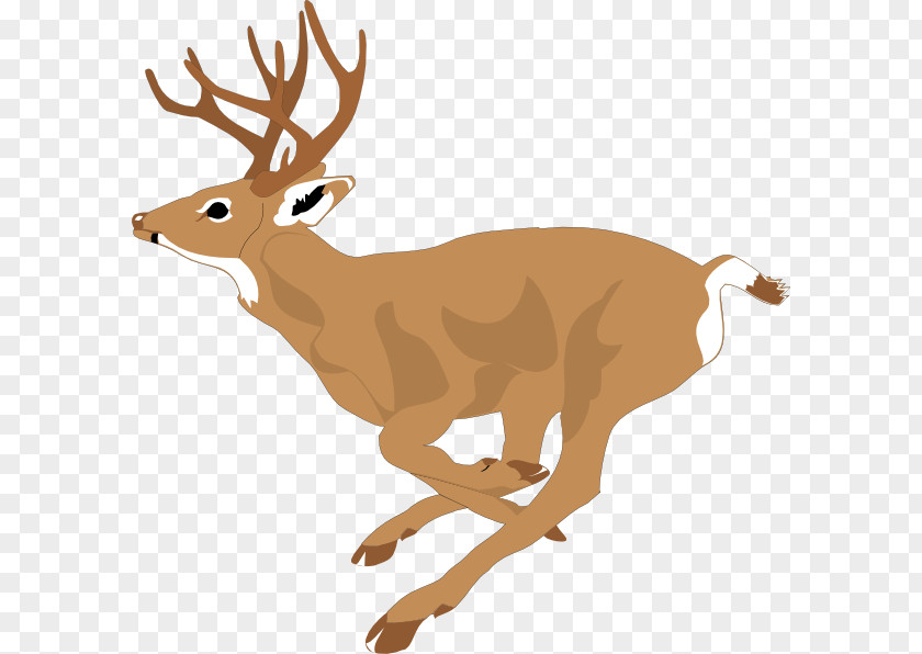 Free Wildlife Clipart White-tailed Deer Clip Art PNG