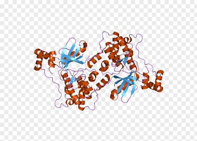 MARK2 Serine/threonine-specific Protein Kinase Art PNG
