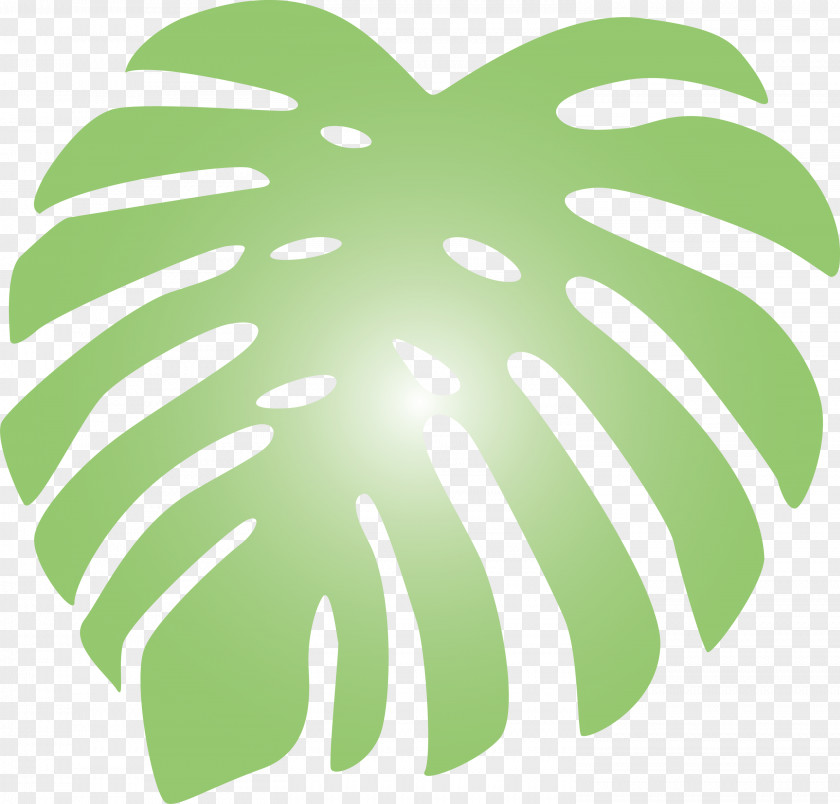 Monstera Tropical Leaf PNG