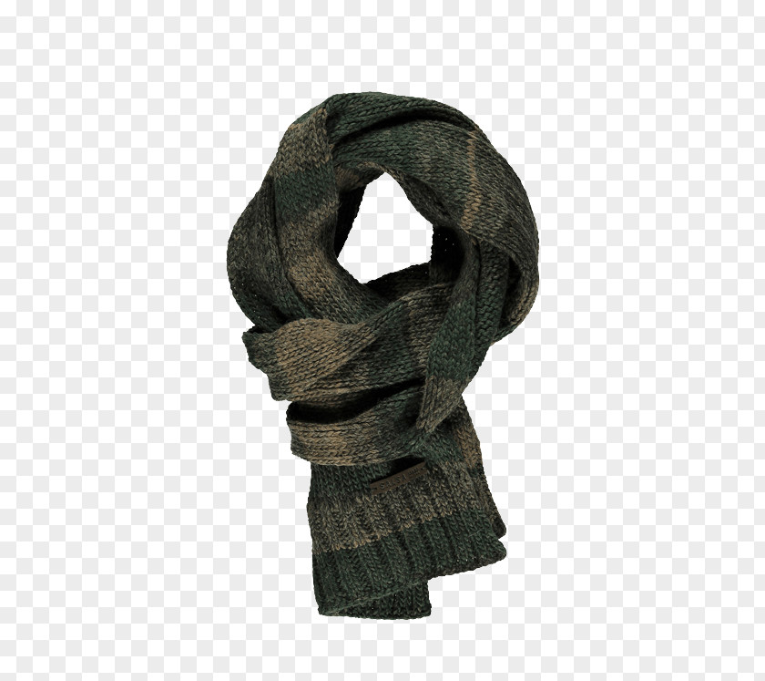 Nancy Ajram Scarf PNG