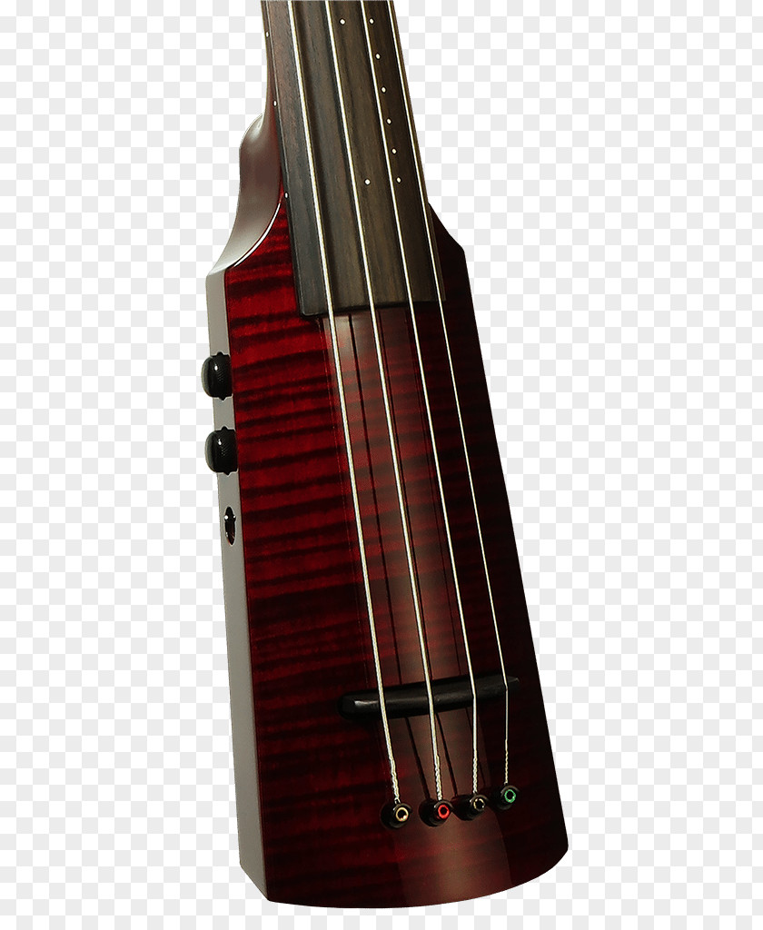 Omni Violone Double Bass Cello Guitar Amplifier PNG