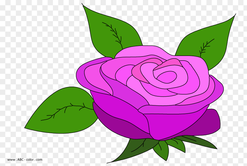 Rose Garden Roses Hybrid Tea Flower Clip Art PNG