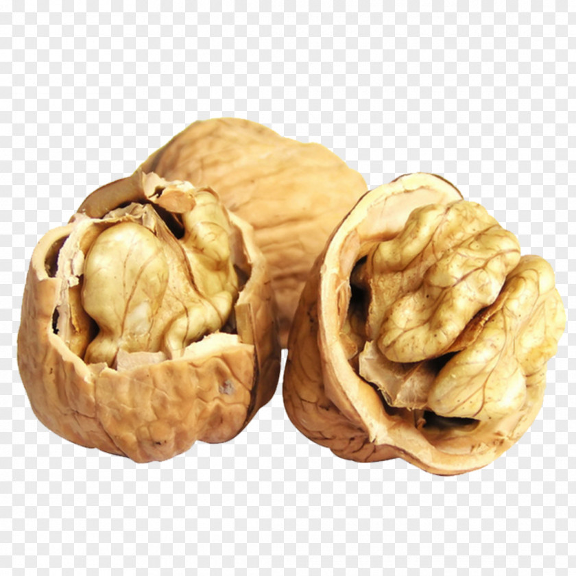 Walnut English Nucule Food Nutrition PNG