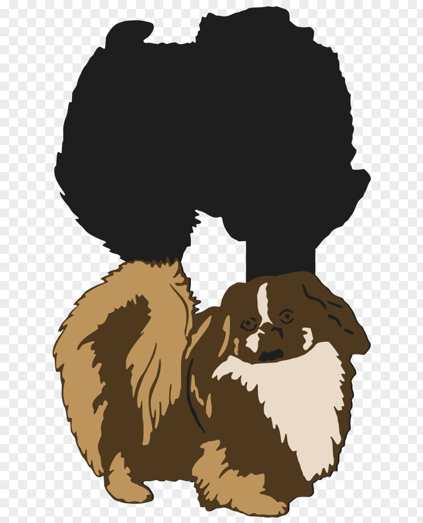 Bear Canidae Cat Dog PNG