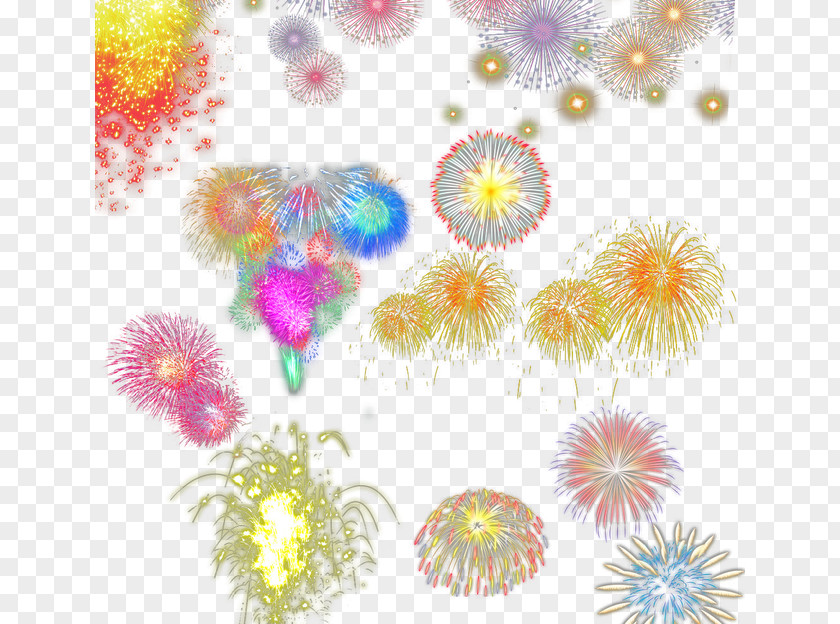 Fireworks Floral Design Petal Dahlia Pattern PNG