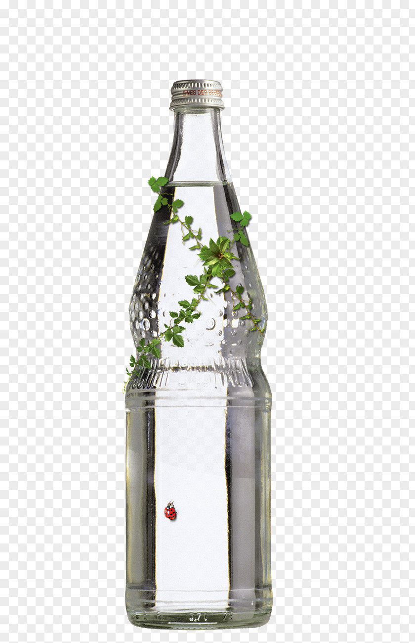 Green Leaves And Ladybug On A Transparent Bottle Advertising Poster Graphic Design Flyer PNG